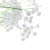 c6437cf5-a66f-11ef-ba45-0050568fff95_2 c6437cf5-a66f-11ef-ba45-0050568fff95_2