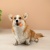 7f8b543b-27d0-11ef-ba43-0050568fff95_11