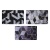 60c930f6-19c0-11f0-ba45-0050568fff95_1
