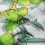 0bd5626c-ca93-11f0-ba48-0050568f6746_7