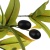 e2367565-3d17-11f0-ba45-0050568fff95_3