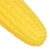 945ac4bb-a64a-11ef-ba45-0050568fff95_2
