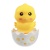 fe140005-0eb9-11f0-ba45-0050568fff95_15