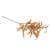 db8b31bd-3d17-11f0-ba45-0050568fff95_2 db8b31bd-3d17-11f0-ba45-0050568fff95_2