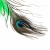 6d38020e-27d0-11ef-ba43-0050568fff95_4 6d38020e-27d0-11ef-ba43-0050568fff95_4