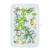 0bd5626c-ca93-11f0-ba48-0050568f6746_1