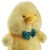 7a66bcb3-1d3e-11f1-ba48-0050568f6746_16 7a66bcb3-1d3e-11f1-ba48-0050568f6746_16
