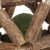 c5e742ea-63c8-11f0-ba48-0050568f6746_5
