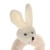 cc3f26ec-01c3-11f1-ba45-0050568fff95_3 cc3f26ec-01c3-11f1-ba45-0050568fff95_3
