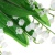 b45ba846-a66f-11ef-ba45-0050568fff95_2